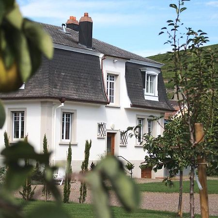 Les Charmes De La Vallee Noble Soultzmatt Eksteriør billede